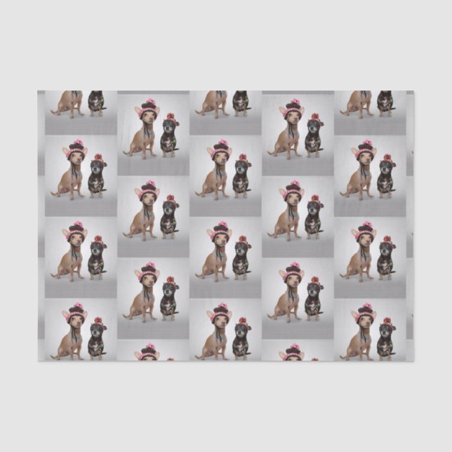 Papier Mousseline Chihuahua (Recto)