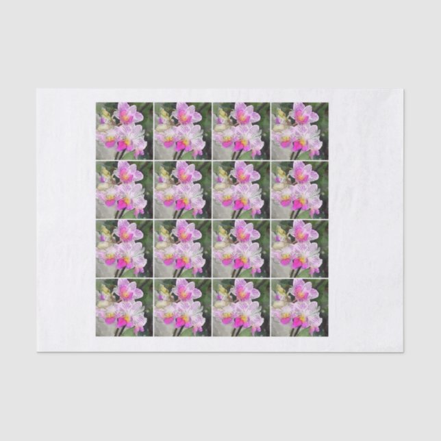 Papier Mousseline chintz rose de decoupage d'orchidée de 16 (Recto)