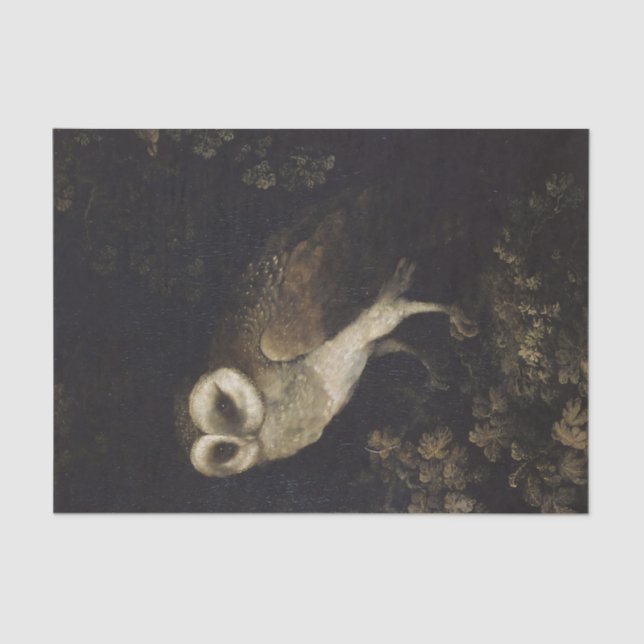 Papier Mousseline Chouette sur Arrière - plan foncé (Recto)