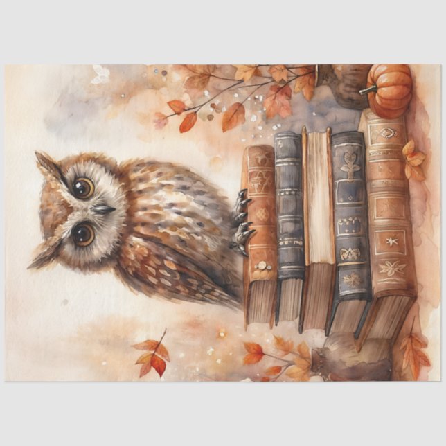 Papier Mousseline Chouette sur livres Aquarelle d'automne (Recto)