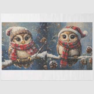 Papier Mousseline Chouettes d'hiver