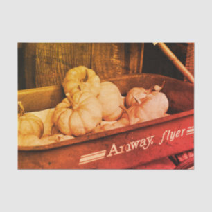 Papier Mousseline Citrouilles Dans Le Vieux Wagon À Sepia Découpage