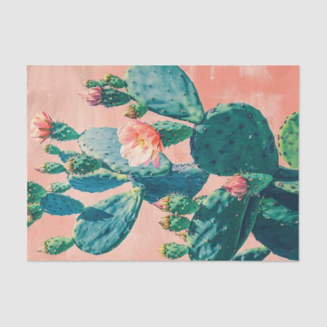 Papier Mousseline Closeup Cactus avec corail rose mur découpage (Recto)
