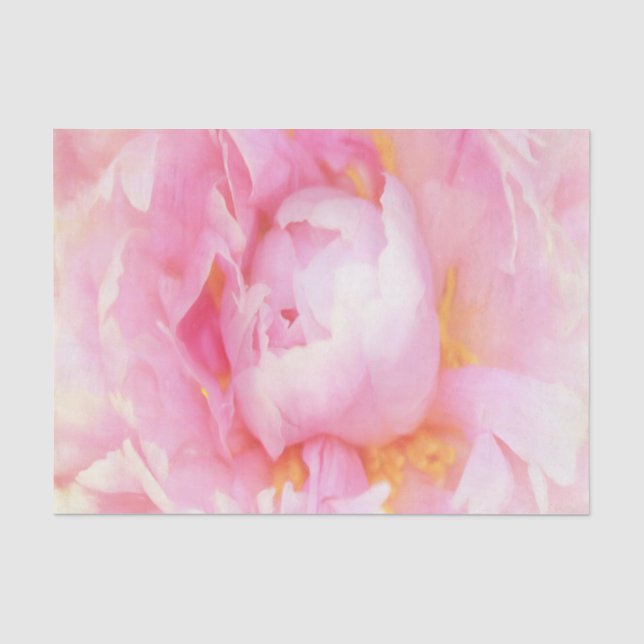Papier Mousseline Closeup de Peony rose (Recto)