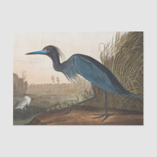 Papier Mousseline coastal Audobon blue heron Tissue Paper