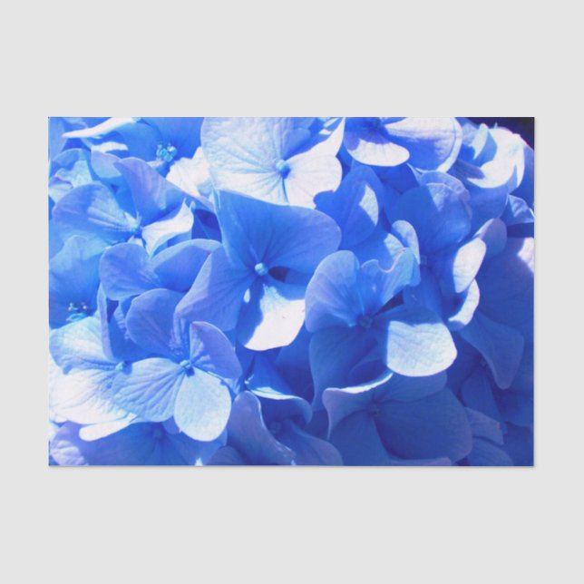 Papier Mousseline Cobalt bleu floral élégant bleu hydrangées (Recto)