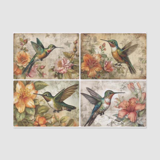 Papier Mousseline Colibri (Recto)