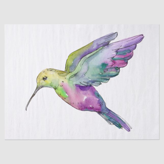 Papier Mousseline Colibri Rainbow Color Aquarelle Art (Recto)