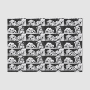 Papier Mousseline Collage anglais de bouledogue "de chiots du