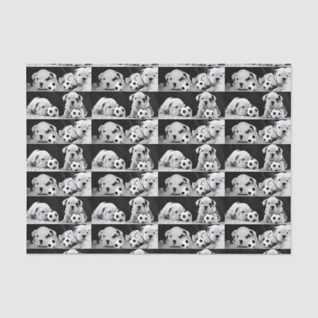 Papier Mousseline Collage anglais de bouledogue "de chiots du (Recto)