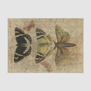 Papier Mousseline Collage No.501 d'insecte