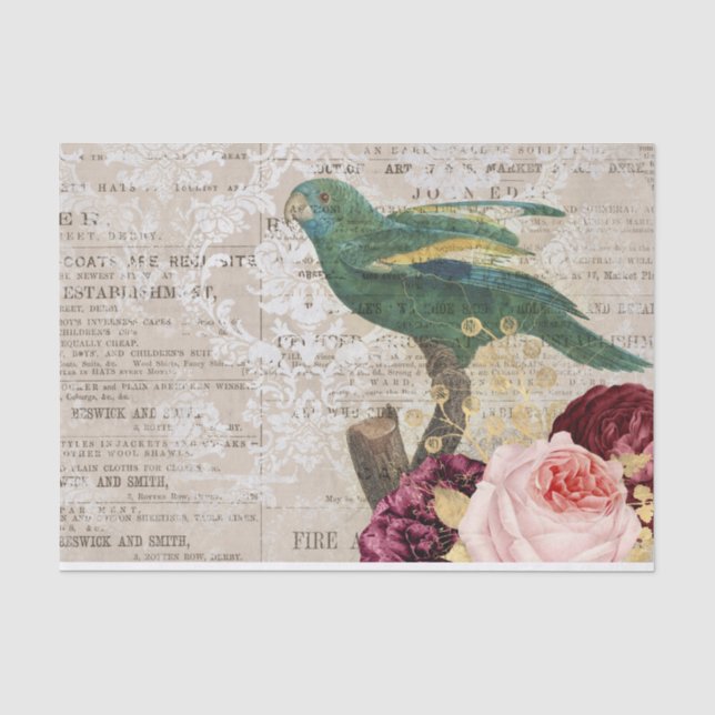 Papier Mousseline Collage vintage de perroquets (Recto)