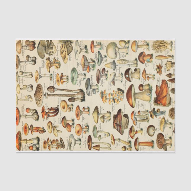 Papier Mousseline Collection de champignons Papier de tissus (Recto)