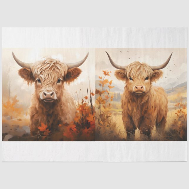 Papier Mousseline Collection Design de vaches Highland 6 (Recto)
