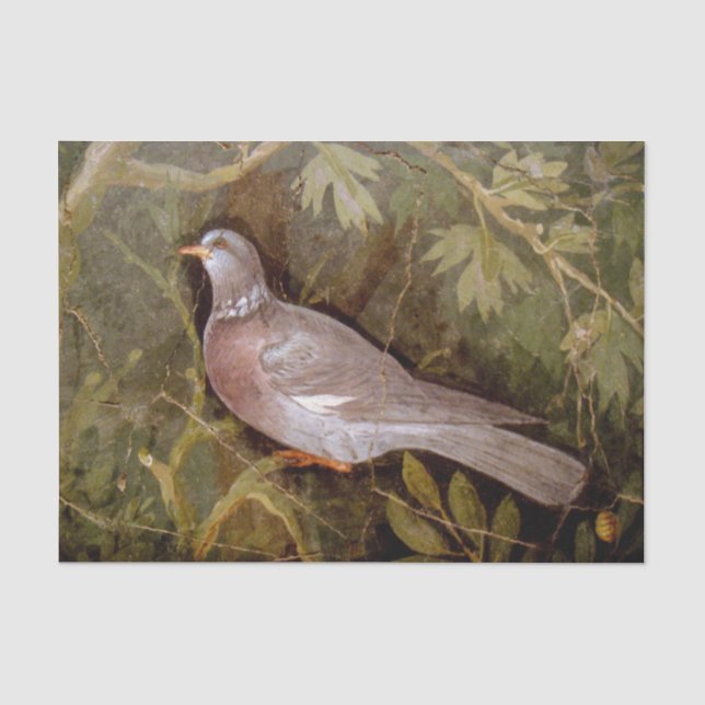 PAPIER MOUSSELINE COLLECTION POMPEII / DOVE DANS LE JARDIN (Recto)