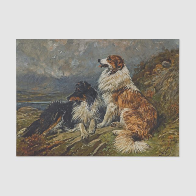 Papier Mousseline Collies sur la mare par John Emms (Recto)