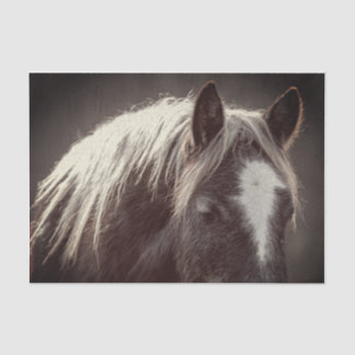 Papier Mousseline Colt Broadfoot