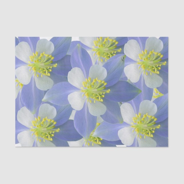 Papier Mousseline Columbine 2 (Recto)