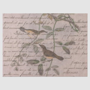 Papier Mousseline Conception de la série Oiseaux Éphémères Cinq
