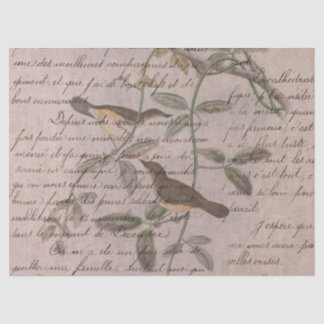 Papier Mousseline Conception de la série Oiseaux Éphémères Cinq