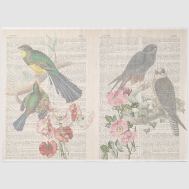 Papier Mousseline Conception vintage de la série Bird 6 (Recto)