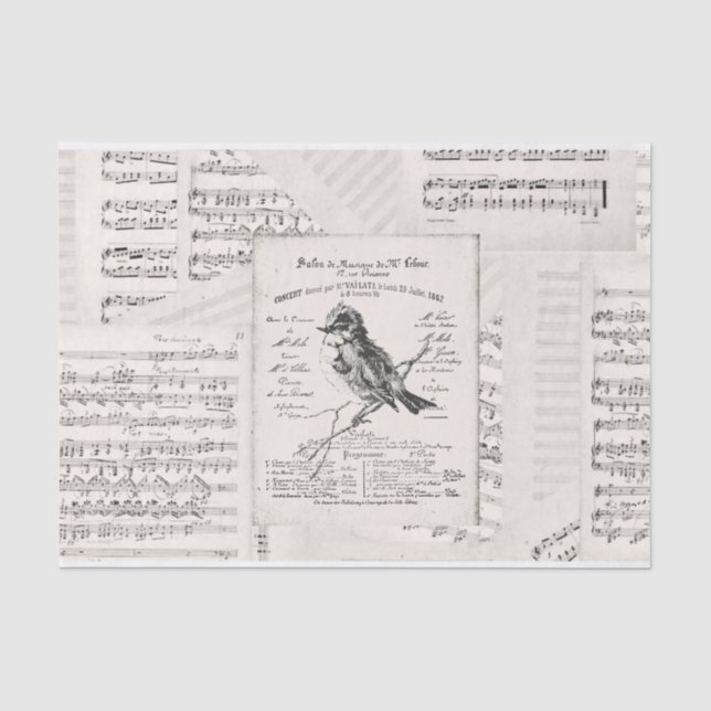 Papier Mousseline Concert de musique française Bird Sheet Musique Vi (Recto)