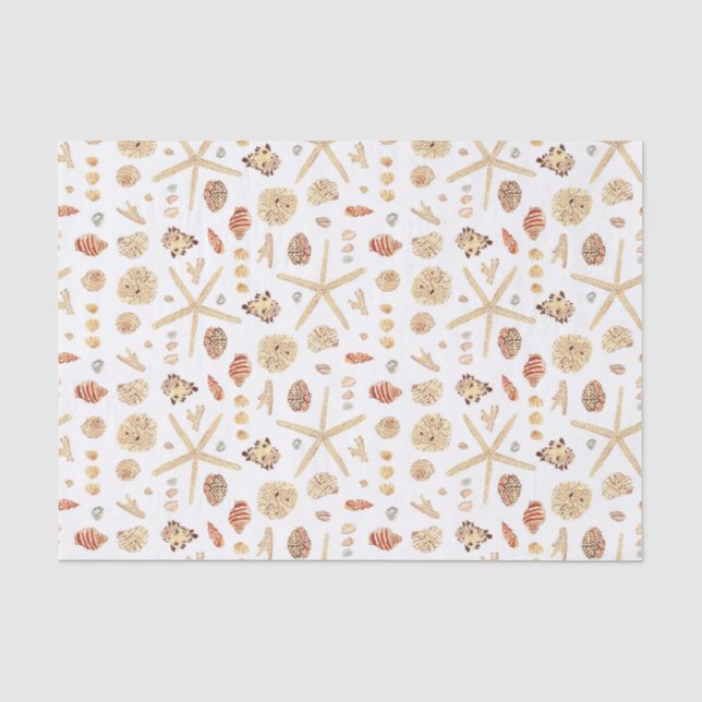 Papier Mousseline Coquillages aquarelles (Recto)