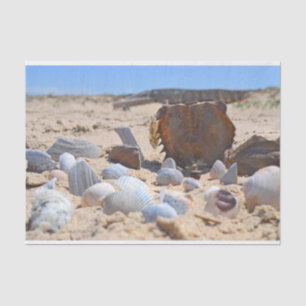 Papier Mousseline Coquillages sur la plage par Shirley Taylor