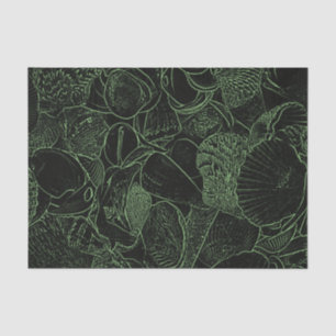 Papier Mousseline Coquilles Marines Plage Océan Vert Noir Esquisse