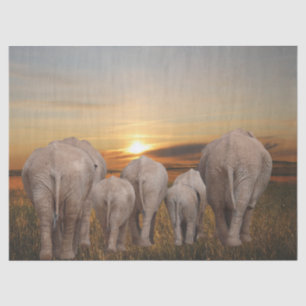 Papier Mousseline Coucher de soleil sur l'éléphant africain