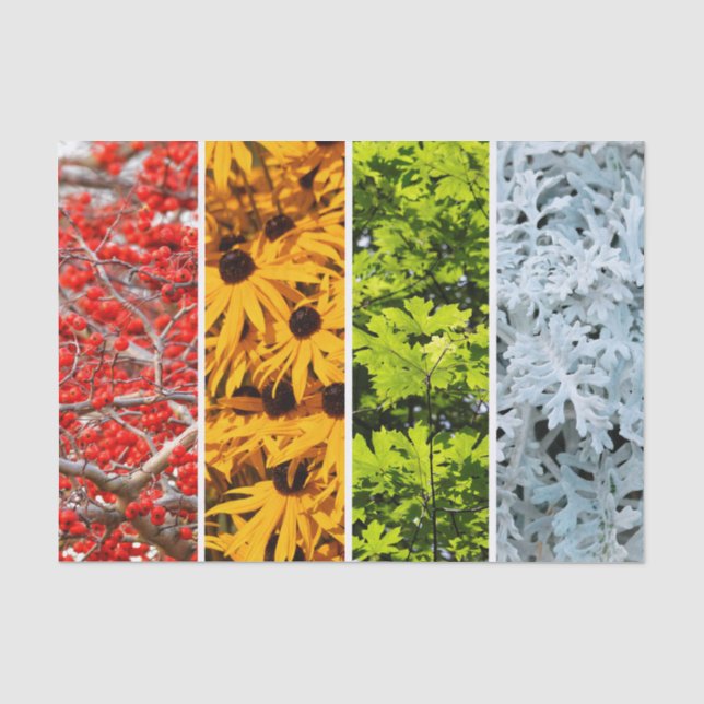 Papier Mousseline Couleurs du Quadriptych des saisons changeantes (Recto)