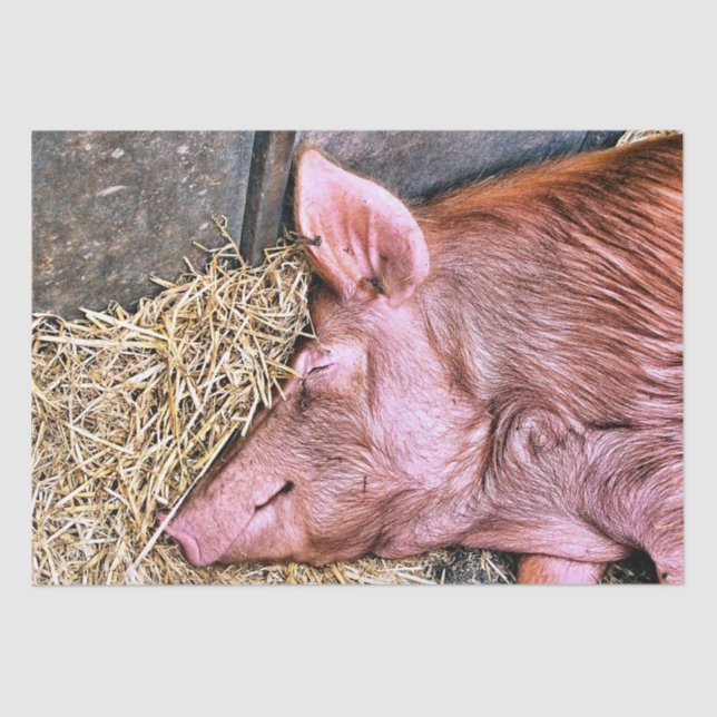 PAPIER MOUSSELINE COUPER (Recto)