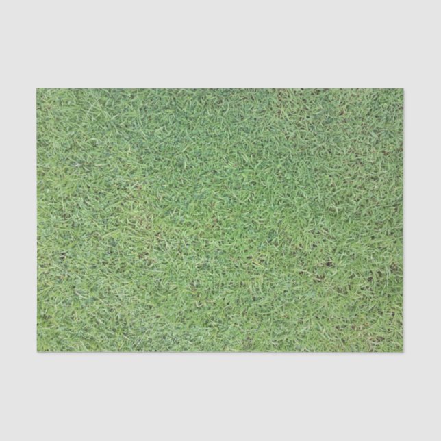 Papier Mousseline Coupez la pelouse d'herbe (Recto)