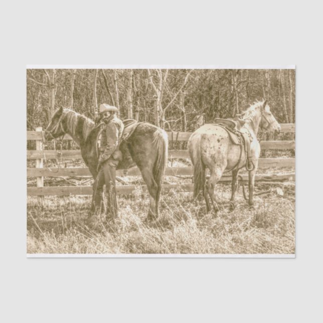 Papier Mousseline Cowboy de l'Alberta (Recto)