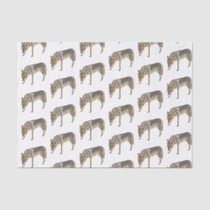 Papier Mousseline Coyote