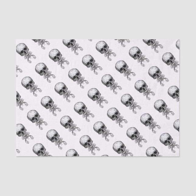 Papier Mousseline Crâne de homard (Recto)