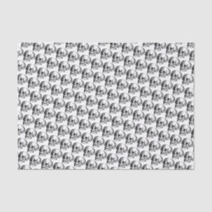 Papier Mousseline Crânes noir et blanc Horreur Cadeau papier papier 