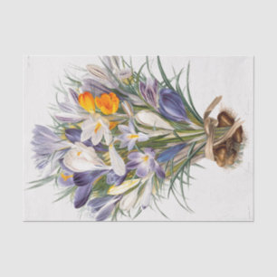 Papier Mousseline Crocus Spring Flower Botanique Floral Art