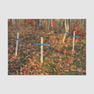Papier Mousseline Croix gothiques de cimetière Feuilles orange d'aut