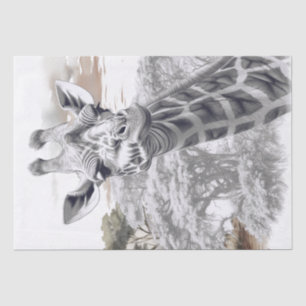 Papier Mousseline Croquis au crayon de girafe africain
