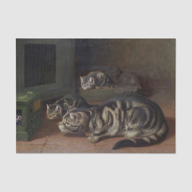 Papier Mousseline Curiosity by Horatio Henry Couldery (Recto)