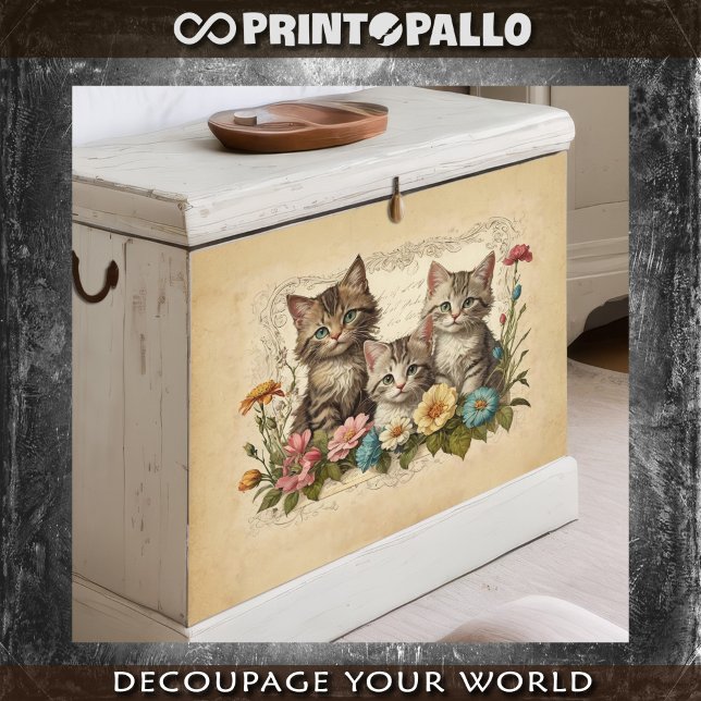 Papier Mousseline Cute chaton en composition de fleurs - (Créateur téléchargé)