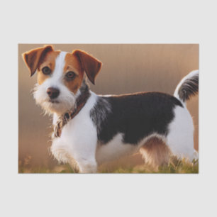 Papier Mousseline Cute Jack Russel Terrier Chien Photo