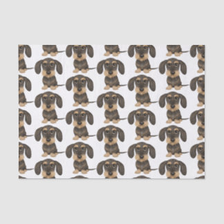 Papier Mousseline Dachshund À poils durs| Teckel Chien mignon