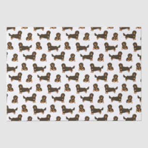 Papier Mousseline Dachshund aux cheveux longs
