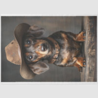 Dachshund Sheriff Dog sur la chaîne