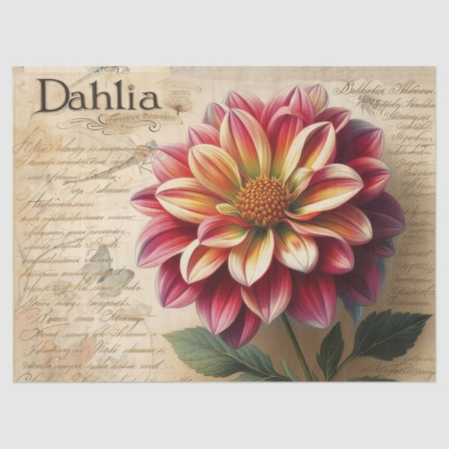 Papier Mousseline Dahlia (Recto)