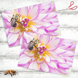 Papier Mousseline Dahlia blanc et rose avec bourdon