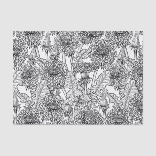 Papier Mousseline Dandelions, black and white (Recto)