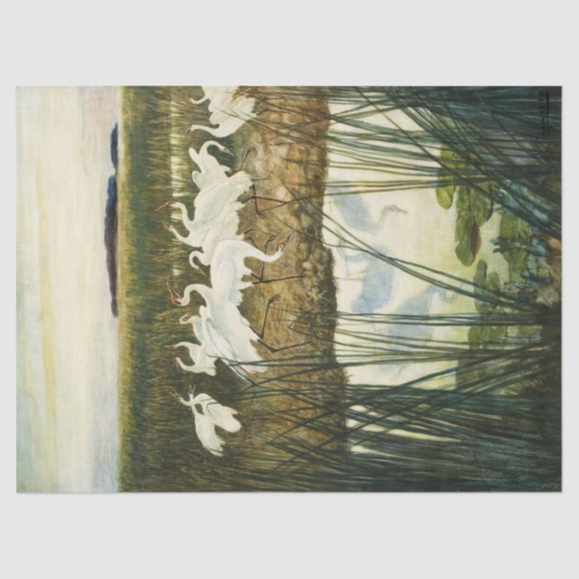 Papier Mousseline Danse des grues blanches par N. C. Wyeth (Recto)